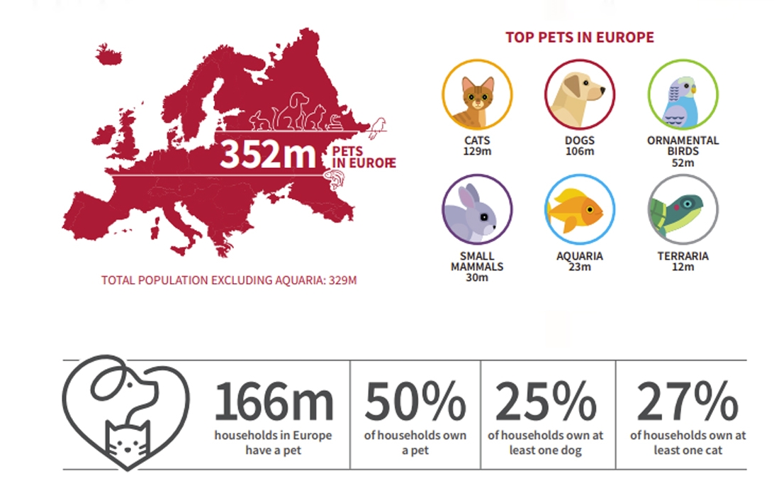 歐洲養(yǎng)狗突破1億只，哪個(gè)國(guó)家最多？歐洲寵物市場(chǎng)情報(bào)！